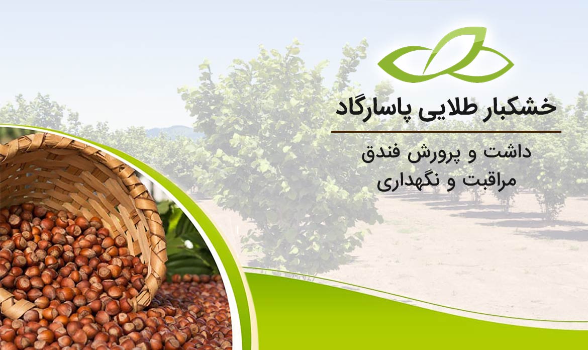 داشت و پرورش فندق - مراقبت و نگهداری