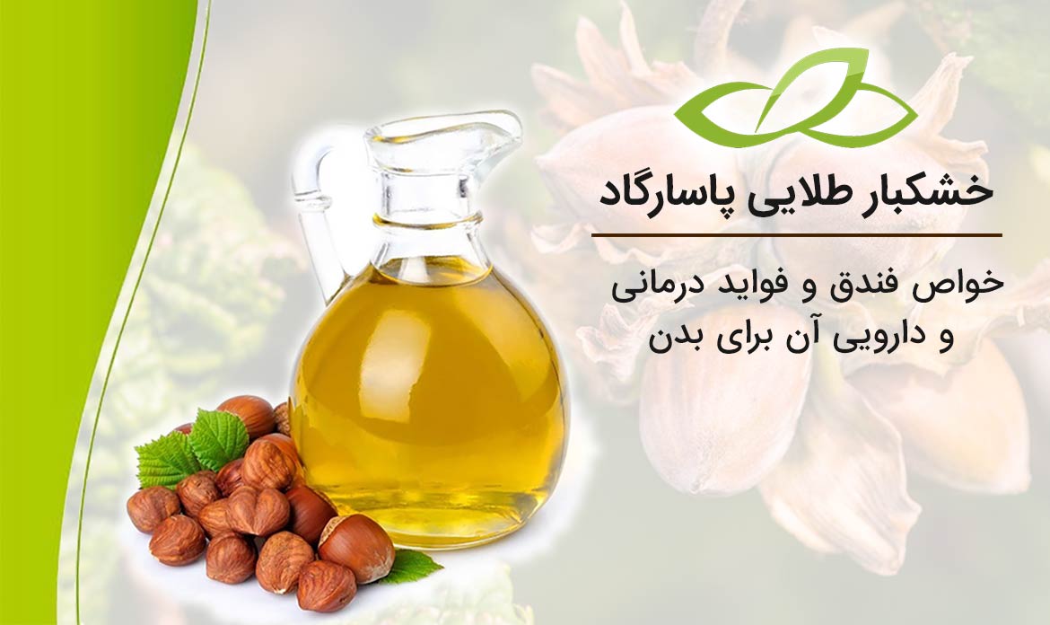 خواص فندق و فواید درمانی و دارویی آن برای بدن