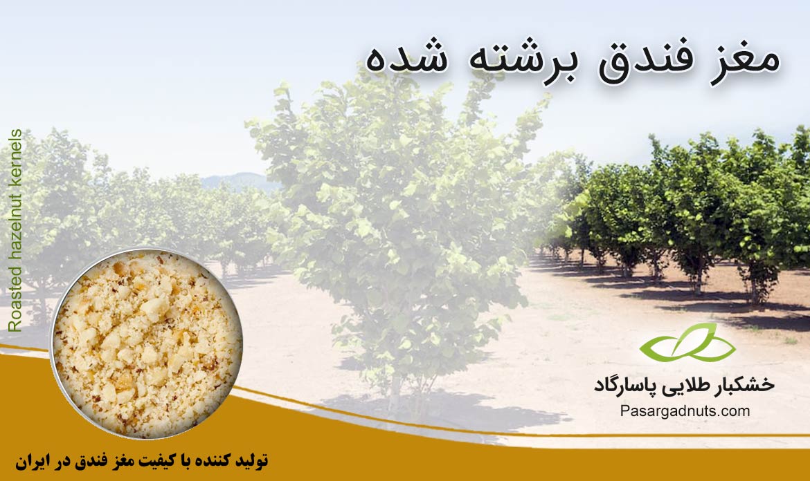 مغز فندق برشته شده